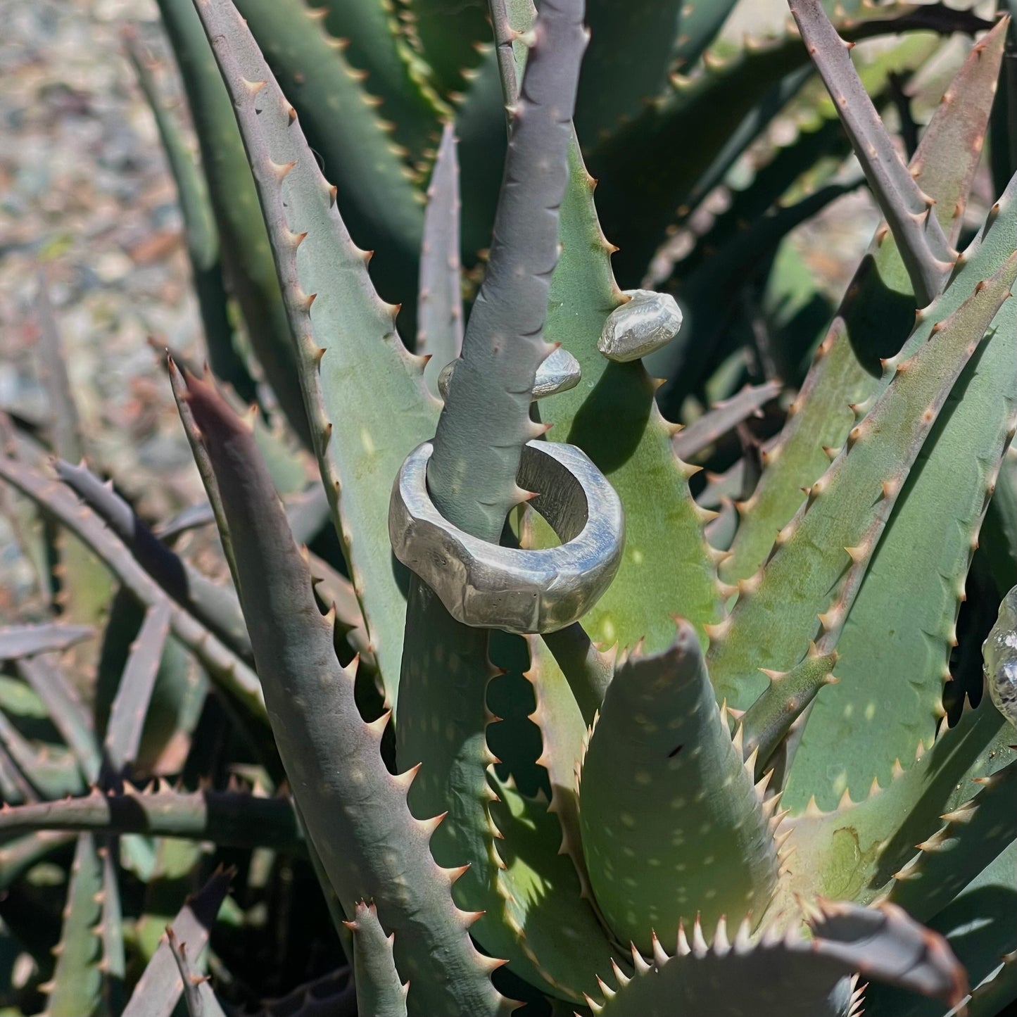 Marine Ring